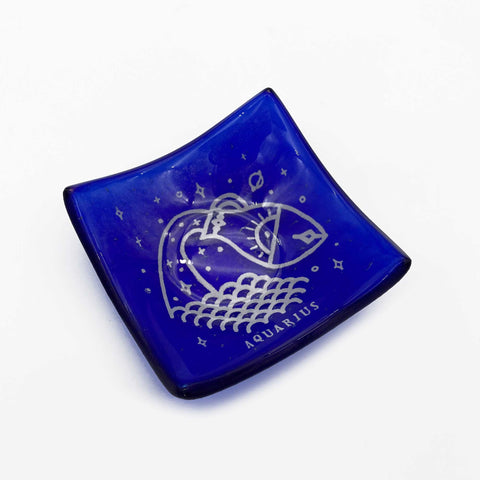 Aquarius Mini Dipper Dish