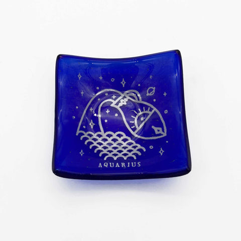 Aquarius Mini Dipper Dish